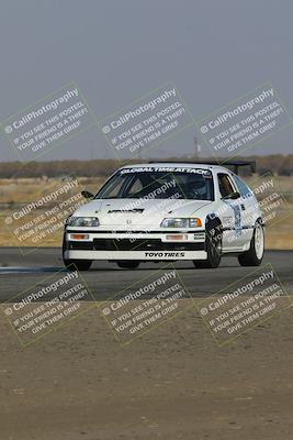 media/Nov-11-2023-GTA Finals Buttonwillow (Sat) [[117180e161]]/Group 3/Wall Paper Shots/